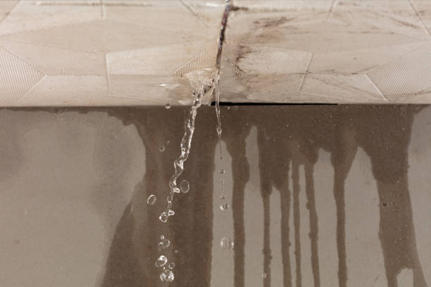 Professional Water Damage Repair technician working in Naalehu, HI